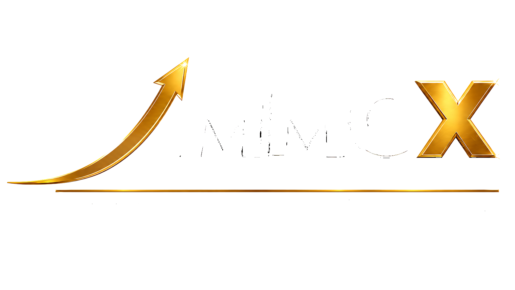 MMCX Business & Marketing Consultants LLC logo
